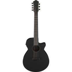 Ibanez AEG721 Black Out