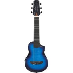 Ibanez AUP10FMNE TOB