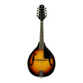 Oqan BANDOLIM ELETRIFICADO QMAN 10E Sunburst