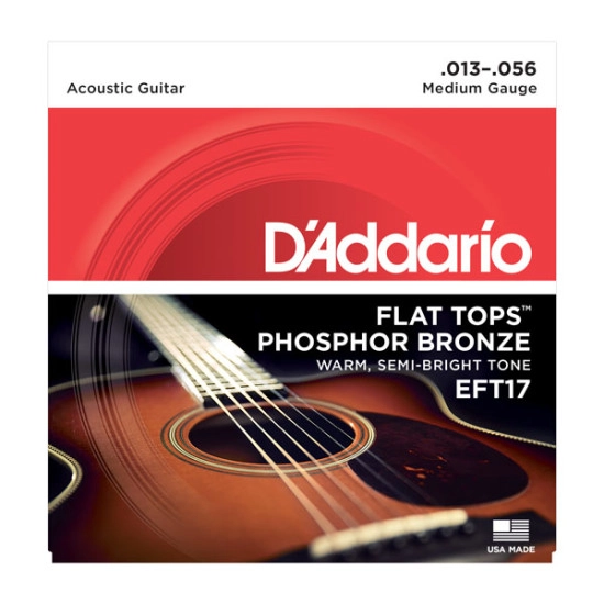 Daddario EFT17