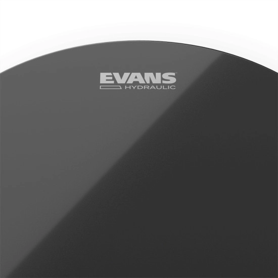 Evans 14