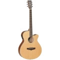 Tanglewood Winterleaf TW9