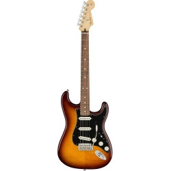 Fender Player Stratocaster Plus Top PF TB