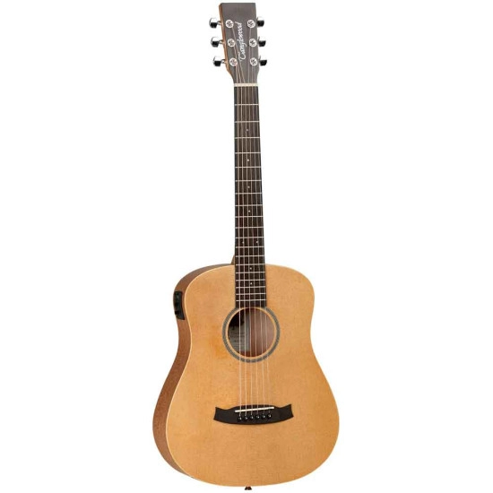 Tanglewood Winterleaf TW2 TSE