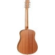 Tanglewood Winterleaf TW2 TSE