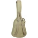 Tanglewood Winterleaf TW2 TSE