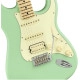 Fender American Performer Stratocaster HSS SSG