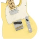 Fender American Performer Telecaster HUM Vintage White