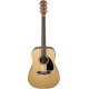 Fender CD 60 NA V3