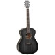 Tanglewood Blackbird Orchestra TWBB O