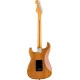 Fender American Pro II Stratocaster RW RST PINE