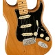 Fender American Pro II Stratocaster MN RST PINE