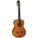 Tanglewood EM D3