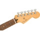 Fender Player Plus Stratocaster HSS PF BLB