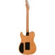 Fender Acoustasonic Player Telecaster RW BRSH BK