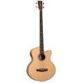 Tanglewood TR AB BW