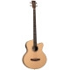 Tanglewood TR AB BW