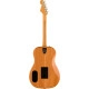 Fender Highway Series Dreadnought RW Natural