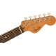 Fender Highway Series Parlor RW All Mahogany