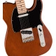 Fender LTD ED American Performer Timber Telecaster MN Mocha