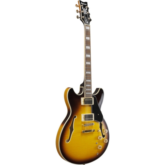 Ibanez John Scofield JSM10EM Two tone Burst