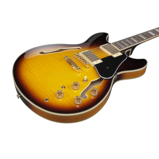 Ibanez John Scofield JSM10EM Two tone Burst