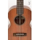 APC UKULELE TENOR TC