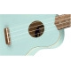 Fender UKULELE SOPRANO Venice Daphne Blue