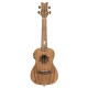 Ortega UKULELE ELETRIFICADO CONCERTO LIZARD CC GB