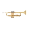 Amadeus TP 807L Gold Bb