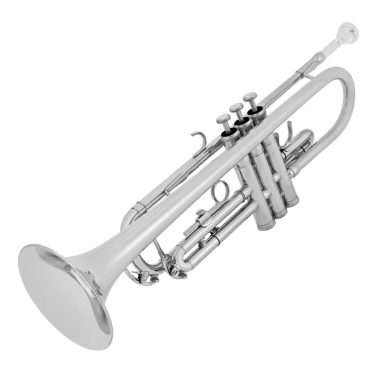 Amadeus TP 807N  Nickel