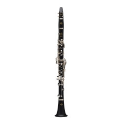 Buffet Crampon Prodige Bb 18/6 BC2541L 2 0GB


Prodige Bb 18/6 BC2541L 2 0GB