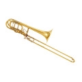 Bach 50 AF3 Goldmessing