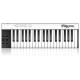 IK MULTIMEDIA iRig Keys PRO