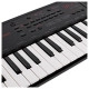 Yamaha PSS A50