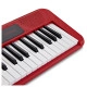 Casio CT S200 RD