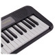 Casio Casiotone LK S250