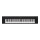 Yamaha Piaggero NP 35 Black