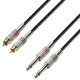 Adam Hall CABO AUDIO K3TPC0300 3m 2 RCA/2 Jack