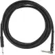 Fender Professional Series 3m Jack/Jack Black