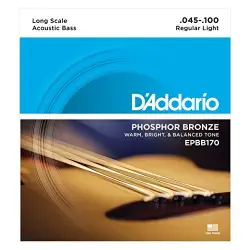Daddario EPBB170