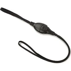 Planet Waves DGS15
