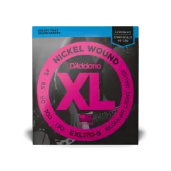 Daddario EXL170 5