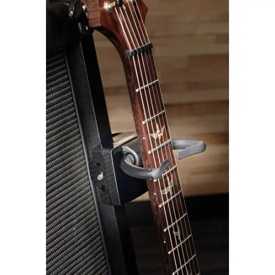 Planet Waves PW GD 01