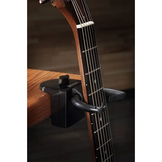 Planet Waves PW GD 01