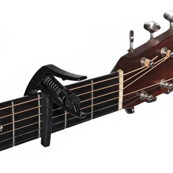 Planet Waves PW CP 10