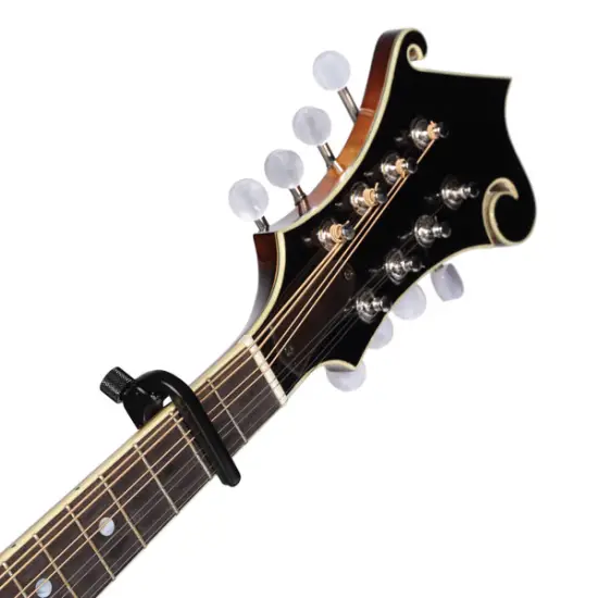 Planet Waves TRANSPOSITOR BANDOLIM/BANJO PW CP 11
