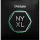 Daddario NYXL0838