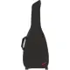 Fender FE405