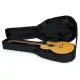 Gator GL AC BASS